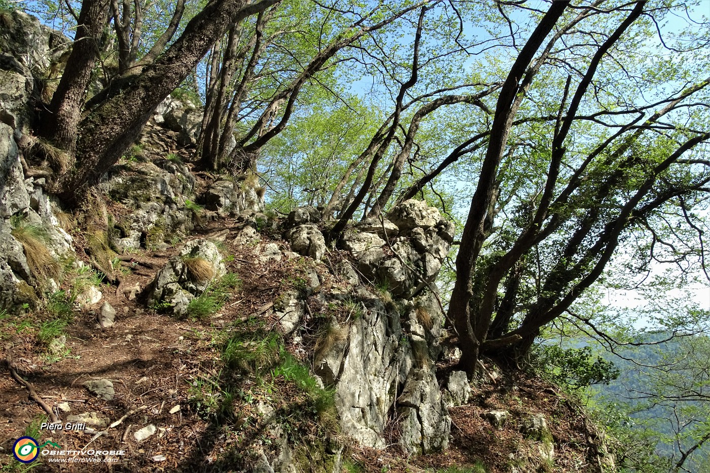 83 Risalendo dallla 'Grotta del Paci Paciana'.JPG